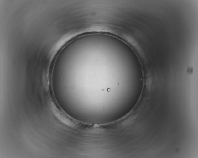 X0000111211372200907011433