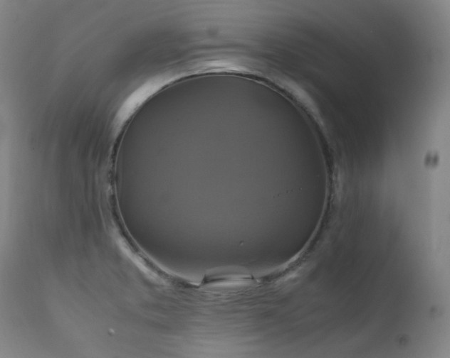 X0000111211373200907011433