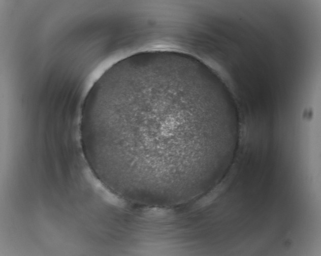 X0000111211374200907011433