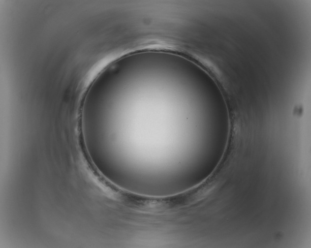 X0000111211375200907011433