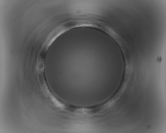 X0000111211377200907011433