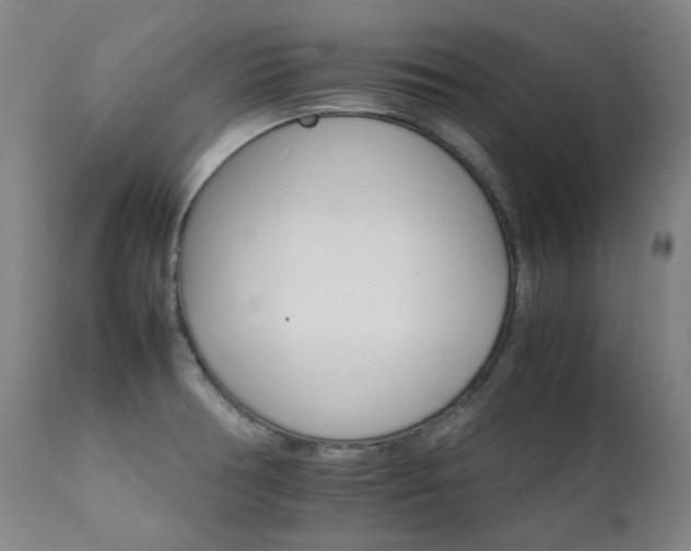 X0000111211378200907011433