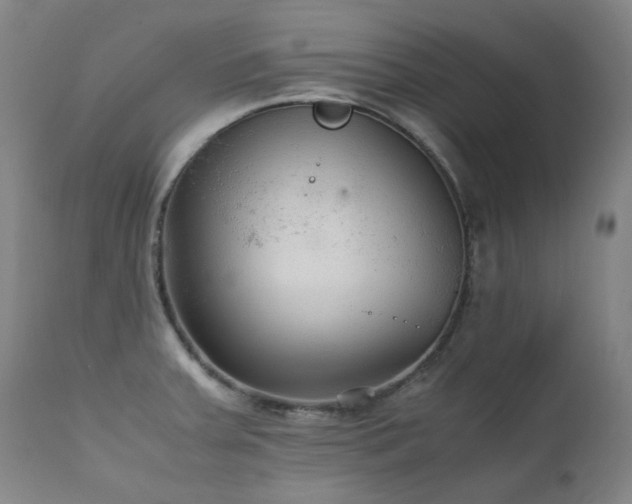 X0000111211379200907011433