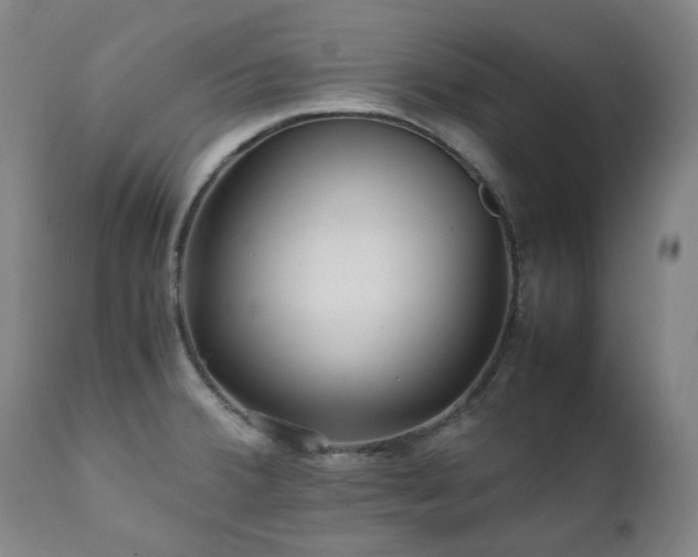 X0000111211380200907011433