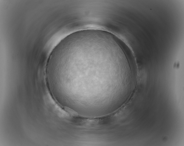 X0000111211381200907011433