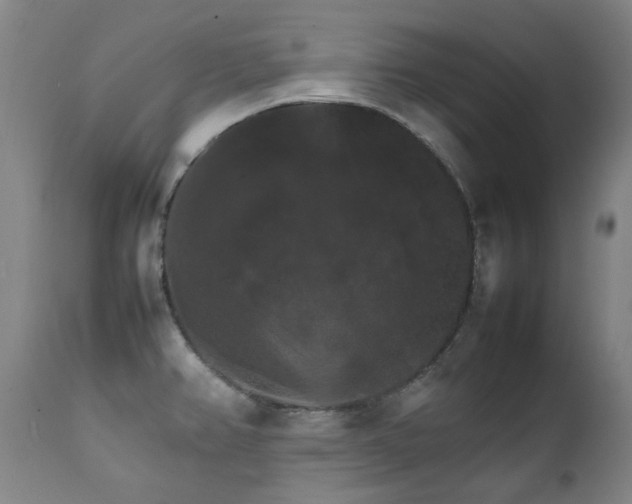 X0000111211382200907011433