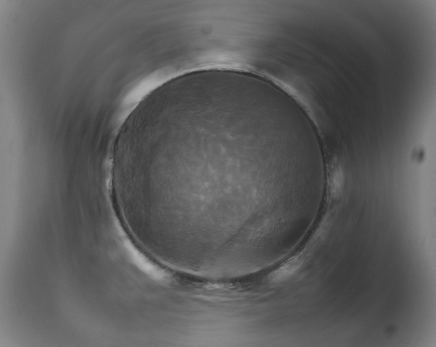 X0000111211383200907011433