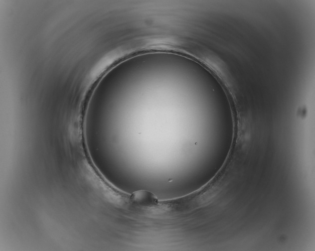 X0000111211384200907011433