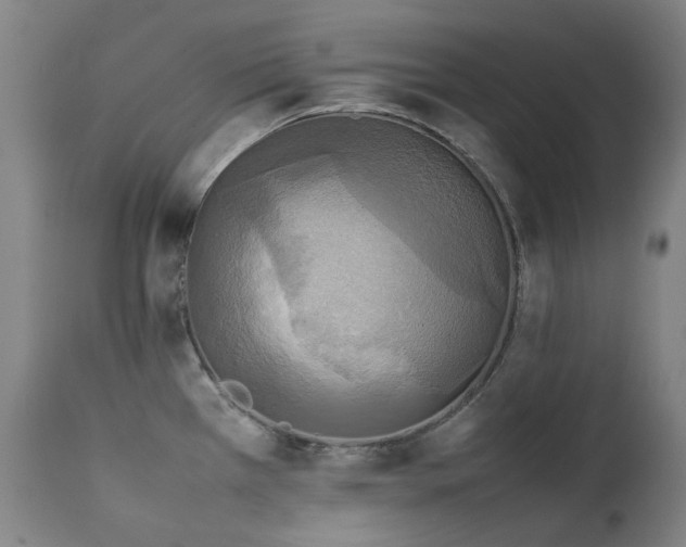 X0000111211385200907011433