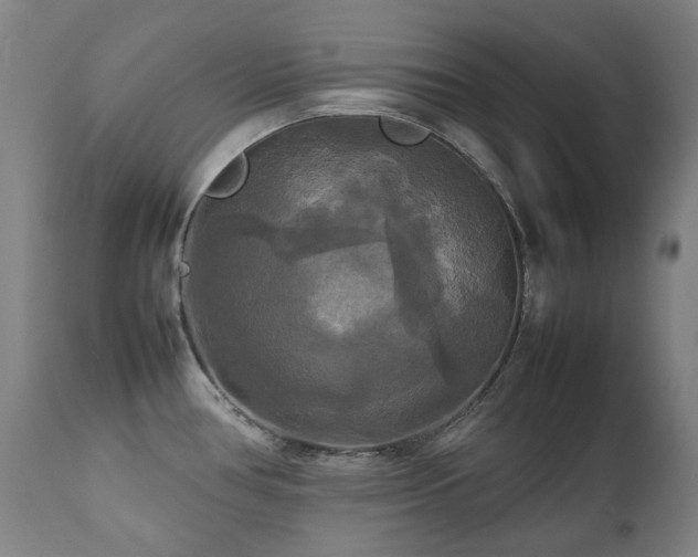 X0000111211386200907011433