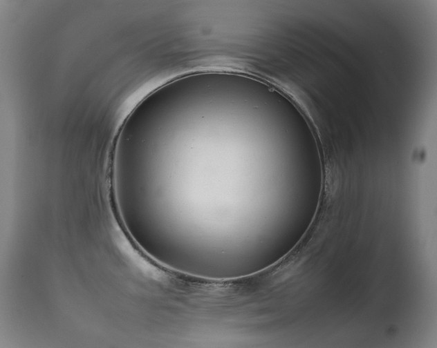 X0000111211387200907011433