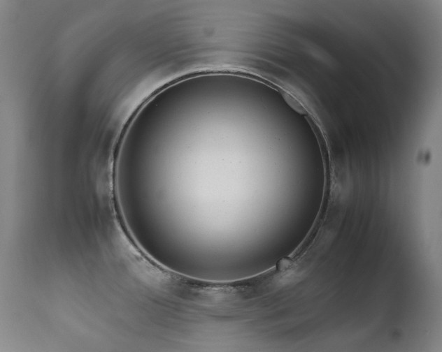 X0000111211388200907011433