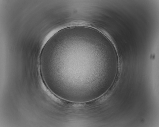 X0000111211389200907011433