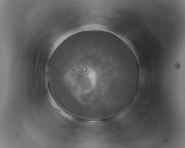 X0000111211390200907011433