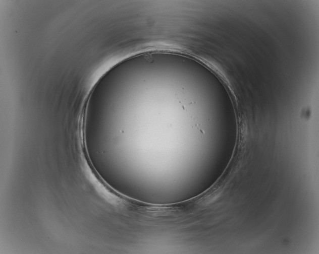 X0000111211391200907011433