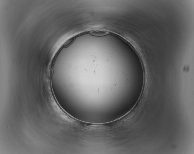 X0000111211392200907011433