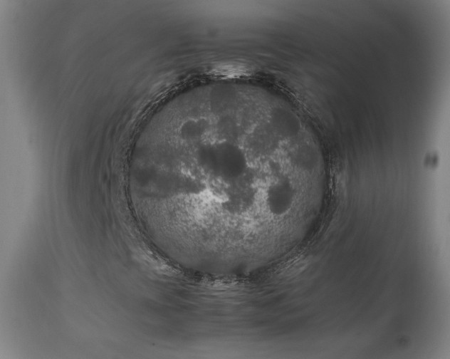 X0000111211393200907011432