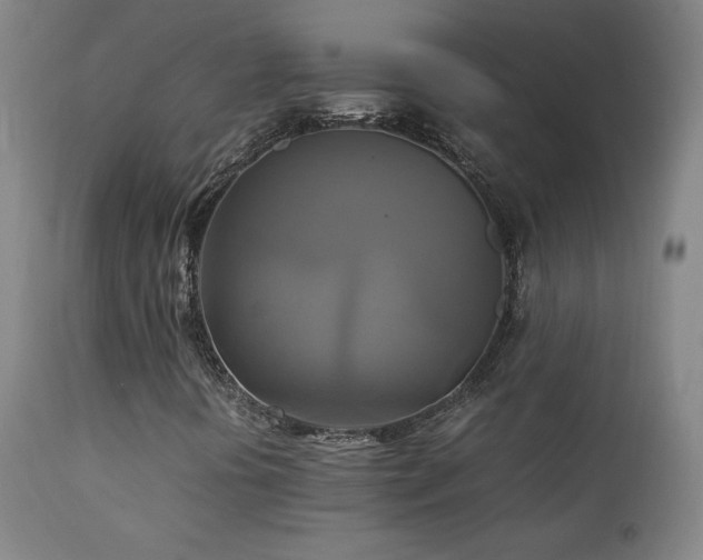 X0000111211394200907011432