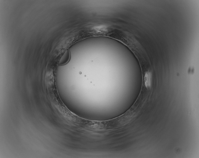 X0000111211395200907011432