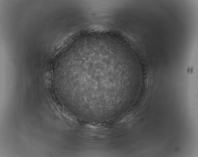 X0000111211397200907011432