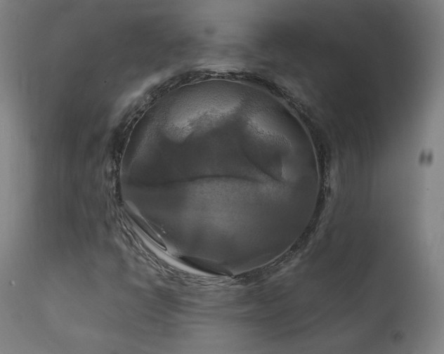 X0000111211398200907011432