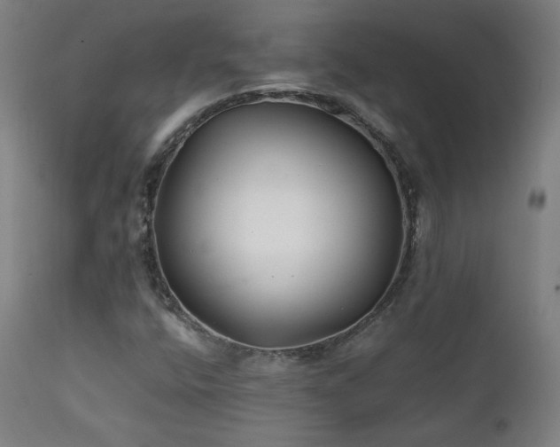 X0000111211400200907011432