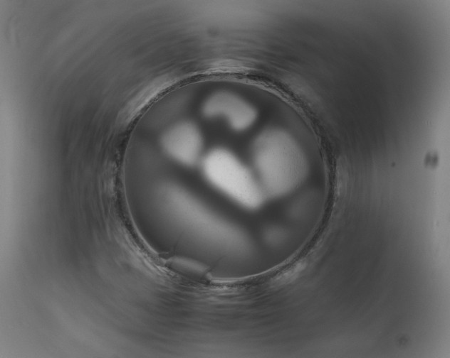 X0000111211401200907011432