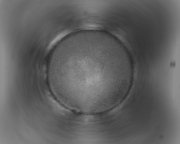 X0000111211402200907011432