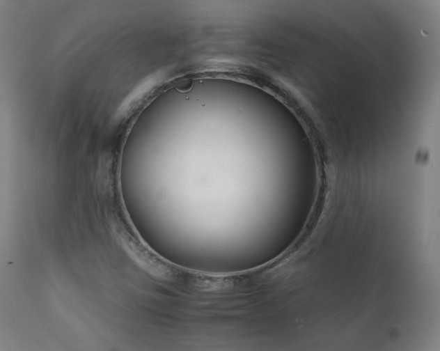 X0000111211403200907011432