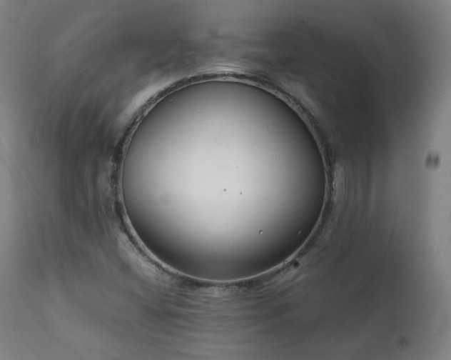 X0000111211404200907011432