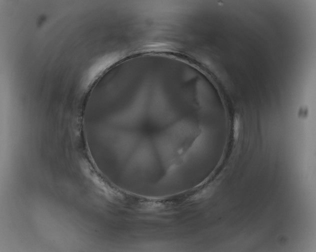 X0000111211405200907011432