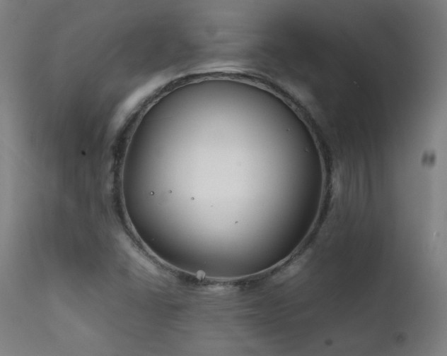 X0000111211406200907011432