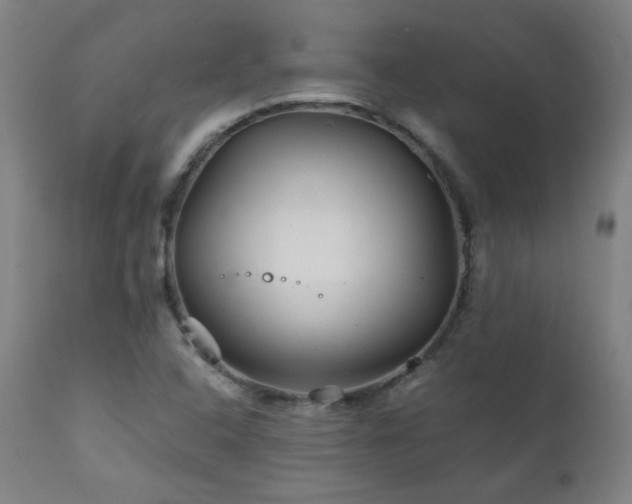 X0000111211408200907011432