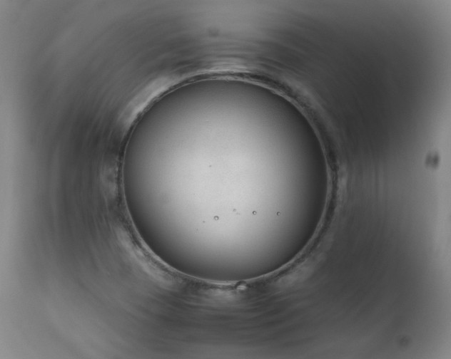 X0000111211409200907011432