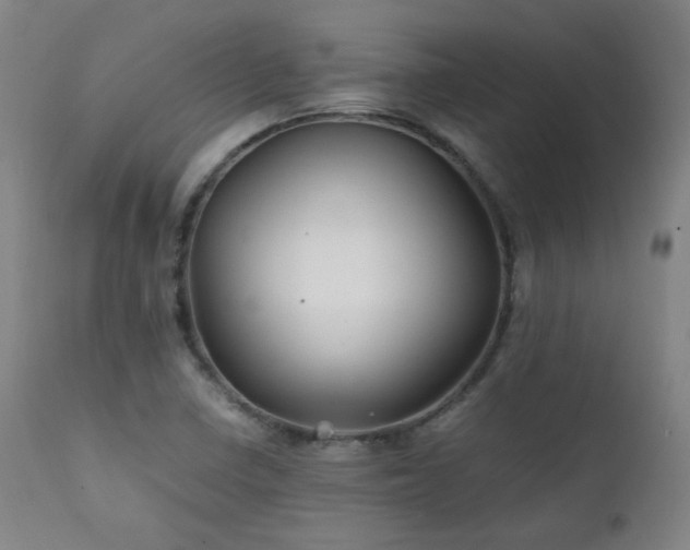 X0000111211410200907011432