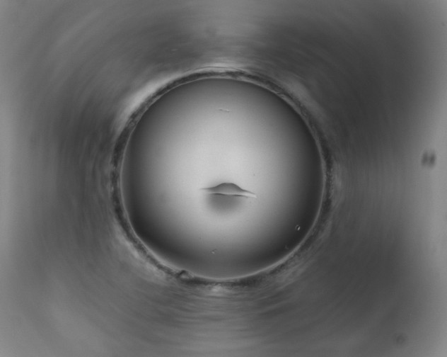 X0000111211412200907011432