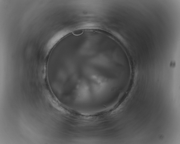 X0000111211413200907011432