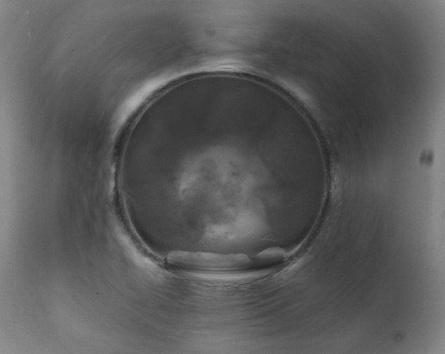 X0000111211414200907011432