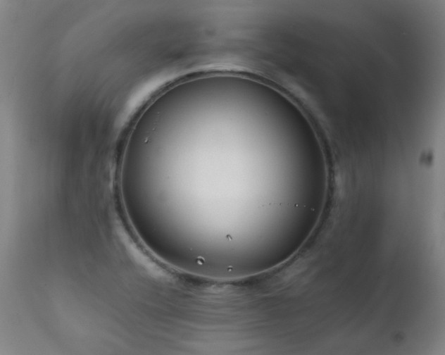 X0000111211416200907011432