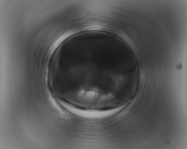 X0000111211418200907011432