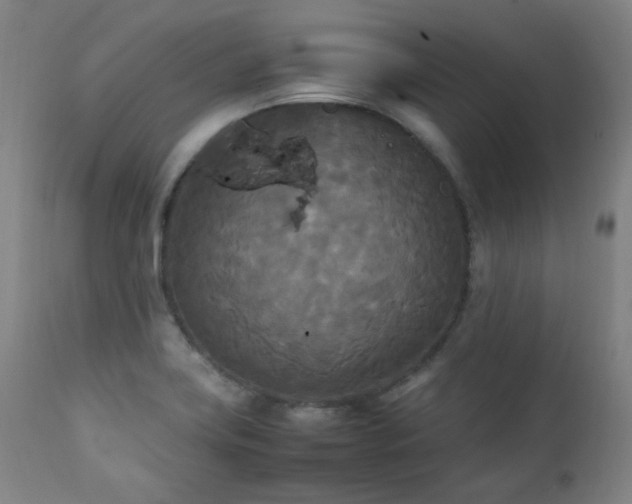 X0000111211419200907011432