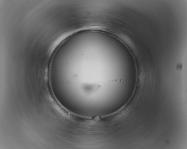 X0000111211420200907011432