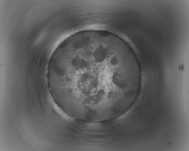 X0000111211421200907011432