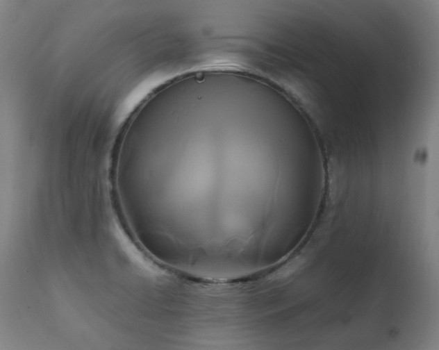 X0000111211422200907011432