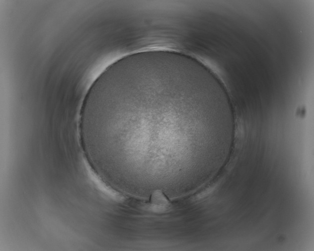 X0000111211423200907011432