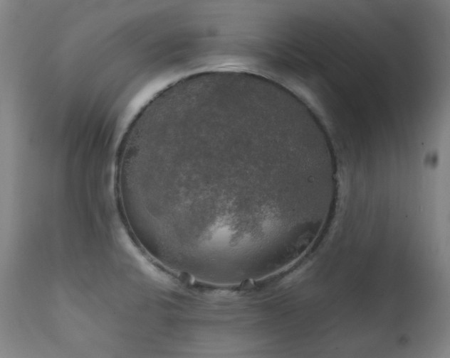 X0000111211424200907011432