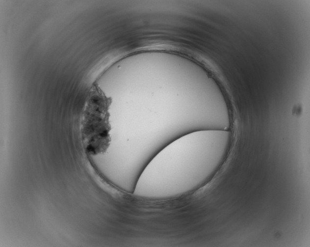 X0000111211425200907011432