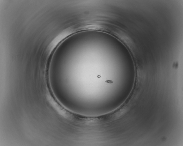 X0000111211426200907011432