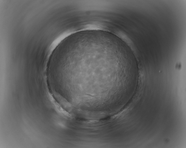 X0000111211427200907011432