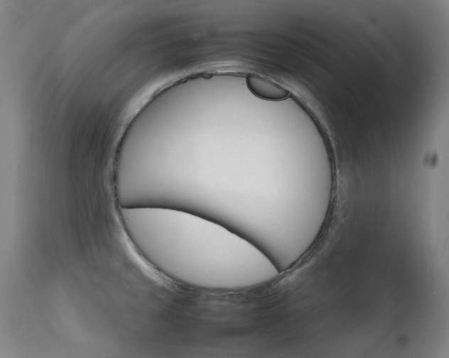 X0000111211429200907011433